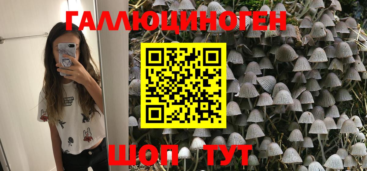 Галлюциногенные грибы Magic Shrooms  Вход с VPN  Кондопога  Псилоцибиновые грибы MAGIC MUSHROOMS 